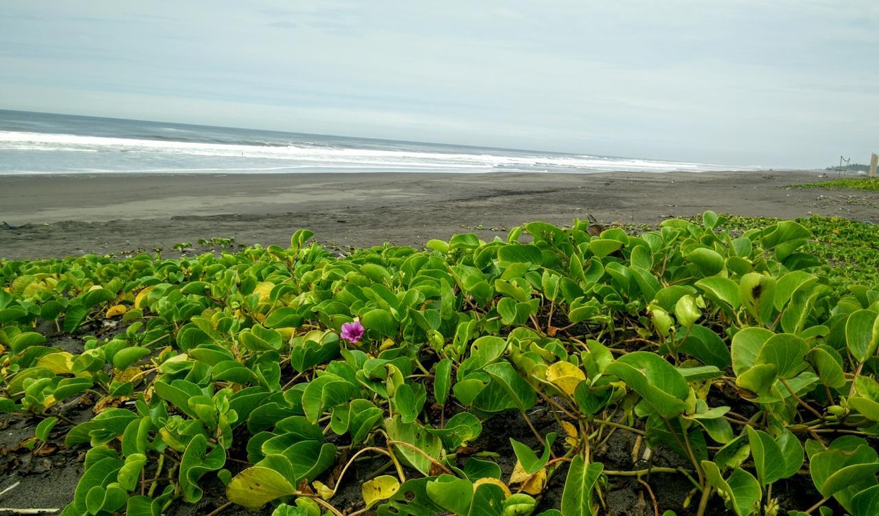 Eco-Hotel Playa Quilombo Las Lisas Exteriér fotografie