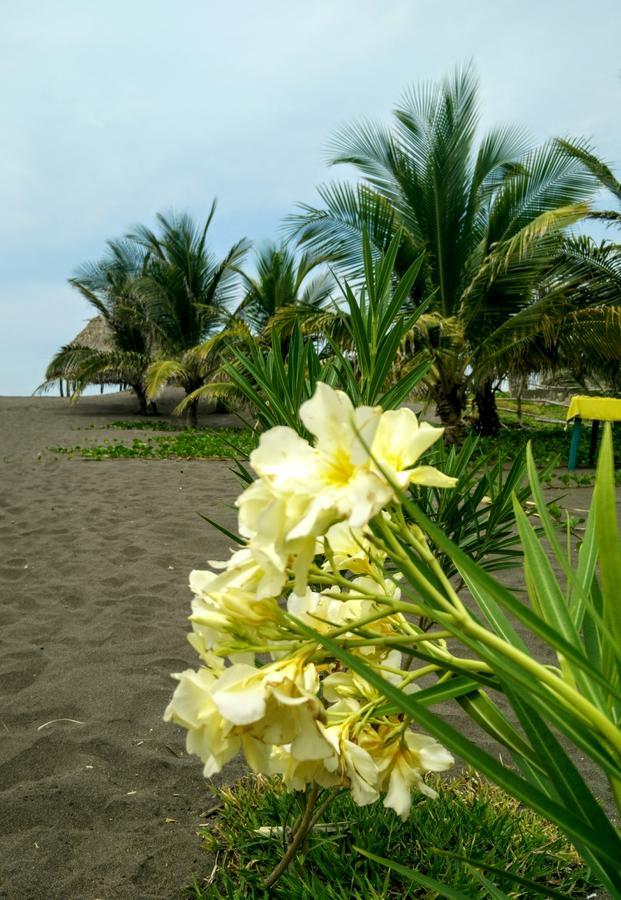 Eco-Hotel Playa Quilombo Las Lisas Exteriér fotografie